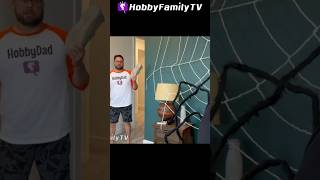 GIANT SPIDER in HobbyFrogs Room on HobbyFamilyTV