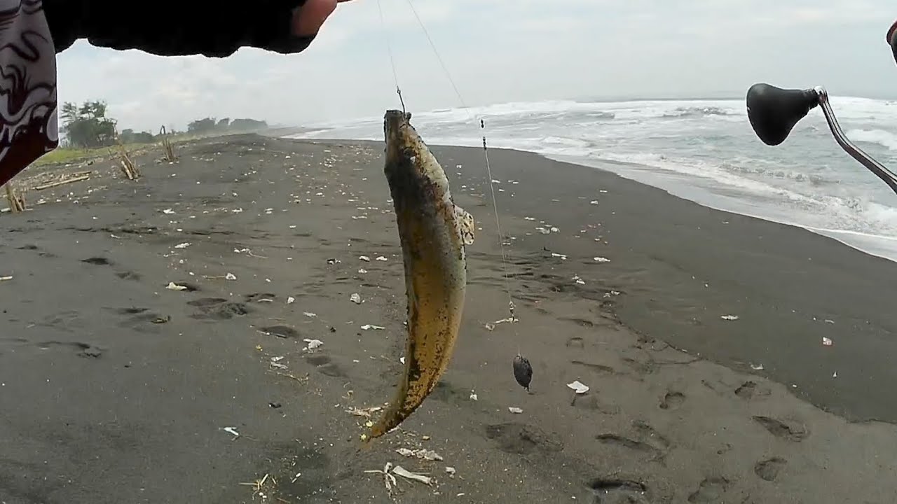 Walau banyak sampah ternyata ikan masih GANASSS❗|| MANCING PASIRAN