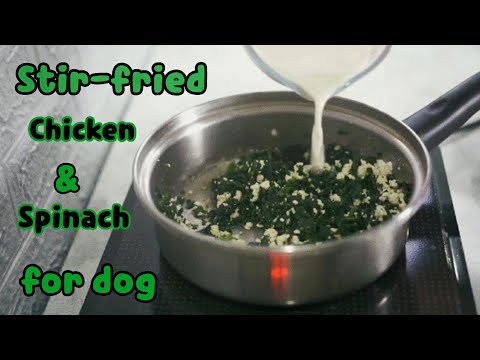 ไก่ผัดผักโขม อาหารสุนัข บำรุงสายตา ทำง่ายได้ที่บ้าน Stir-fried Chicken and Spinach for Dog Food easy