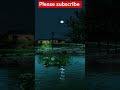 Nature Relaxation 4K | Peaceful Forest Sounds, Birds Singing & River for Sleep