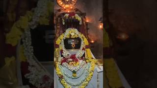 Divine Peace at Kalavagunta Shiva Temple 🕉️🙏 | Har Har Mahadev #shorts