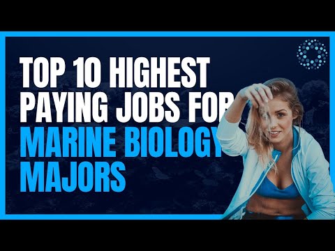 Picture of What Are The Highest Paying Jobs In Marine Biology