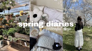 SPRING DIARIES 🌱🌸 cherry blossoms, cafes, plant shop, ghibli, no talking