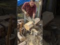 The beauty of raw timber nature 🏞️✨