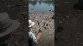 v227 great survival skill p , #shorts