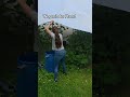Weg mit der Plane 🙃 #shorts #tiere #vogel #birds #macaw #parrot #natur #freeflight #parrot #diy