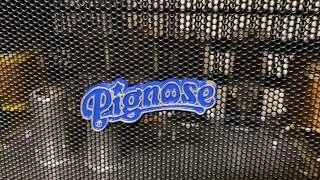 Pignose B100V Restoration Project Part 1 – Tear Down, Cleaning and First Inspection