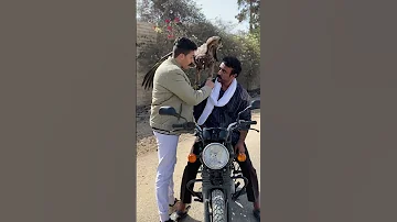احمد العوضي فهد البطل ونبوي وشمس شمس نبوي مصر ملكه العقبان ف مصر 
