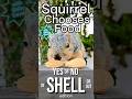Squirrel Chooses Food in Shell or Out edition with Baby Davey