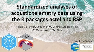 Standardized analyses of acoustic telemetry data using the R packages actel and RSP