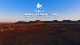 SMART - Spatial Monitoring and Reporting Tool