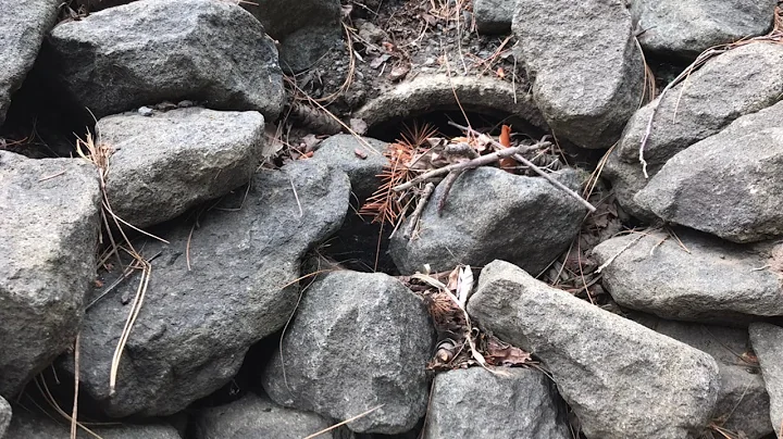 Unclogging Culverts #1