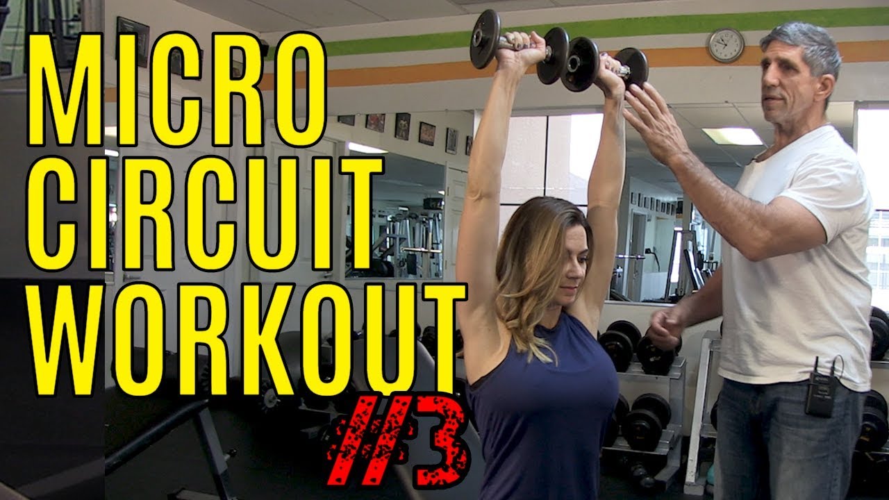 Micro Circuit #3 - YouTube