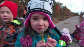 The Cooperative Nature School in Sharon