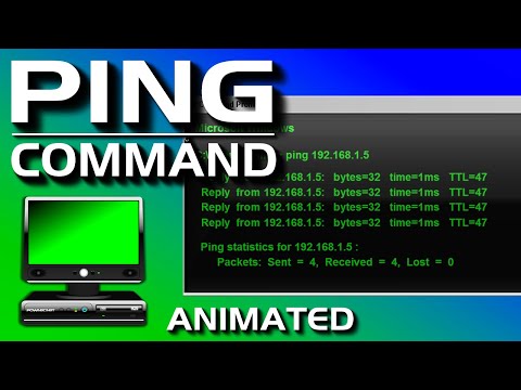 PING Command - Troubleshooting