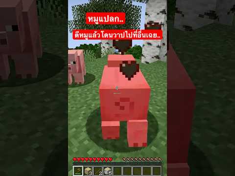 หมูแปลก.. ตีหมูแล้ววาปไปที่อื่น 😱‼️ #shorts #minecraft
