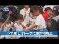 小学生 ビオトープに生き物放流　日野自動車古河工場