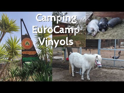 CAMPING Ecològic Vinyols ( EcoVinyols )