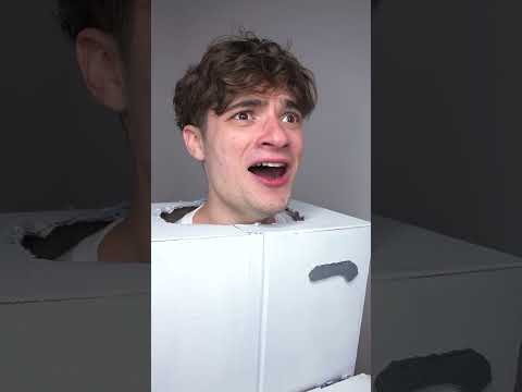 spice kings toilet fights back...