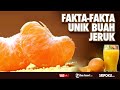 9 Fakta Unik Buah Jeruk, Ternyata Cocok Buat Kamu yang Lagi Diet