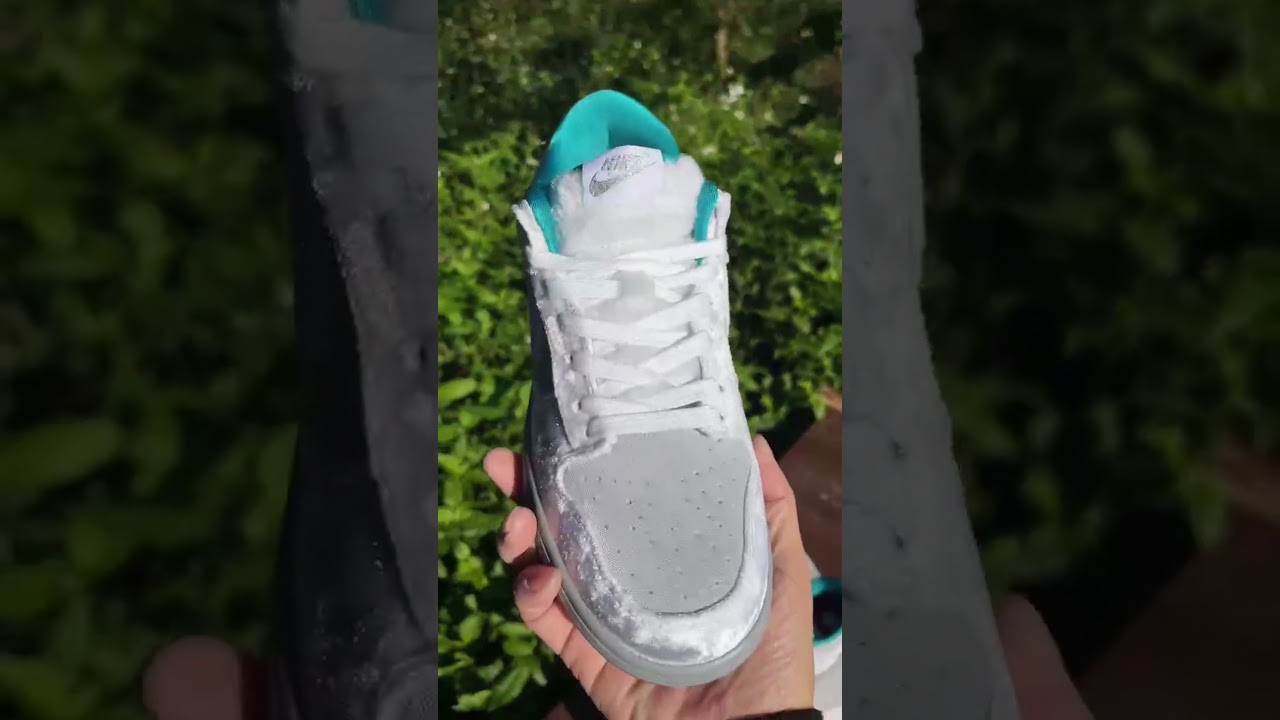 Nike Dunk Low “Ice”