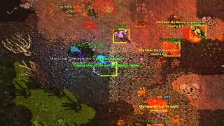 Tibia RL - Zanera ( Solidera ) - mala  hunt para los bots