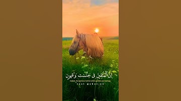 هزاع البلوشي حالات واتس اب قرآن  مقاطع انستقرام/ناشيد اسلاميه بدون حقوق#quran  #Allah تلاوه هادئه