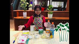 RBT TAHUN 6 - PROJEK HIDROPONIK DIY (AIREEN SOFEA BINTI FAKHRUL ANWAR)