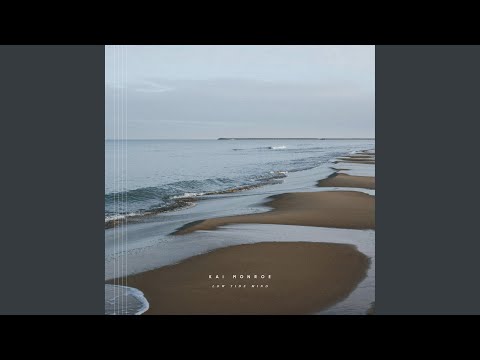 Low Tide Mind