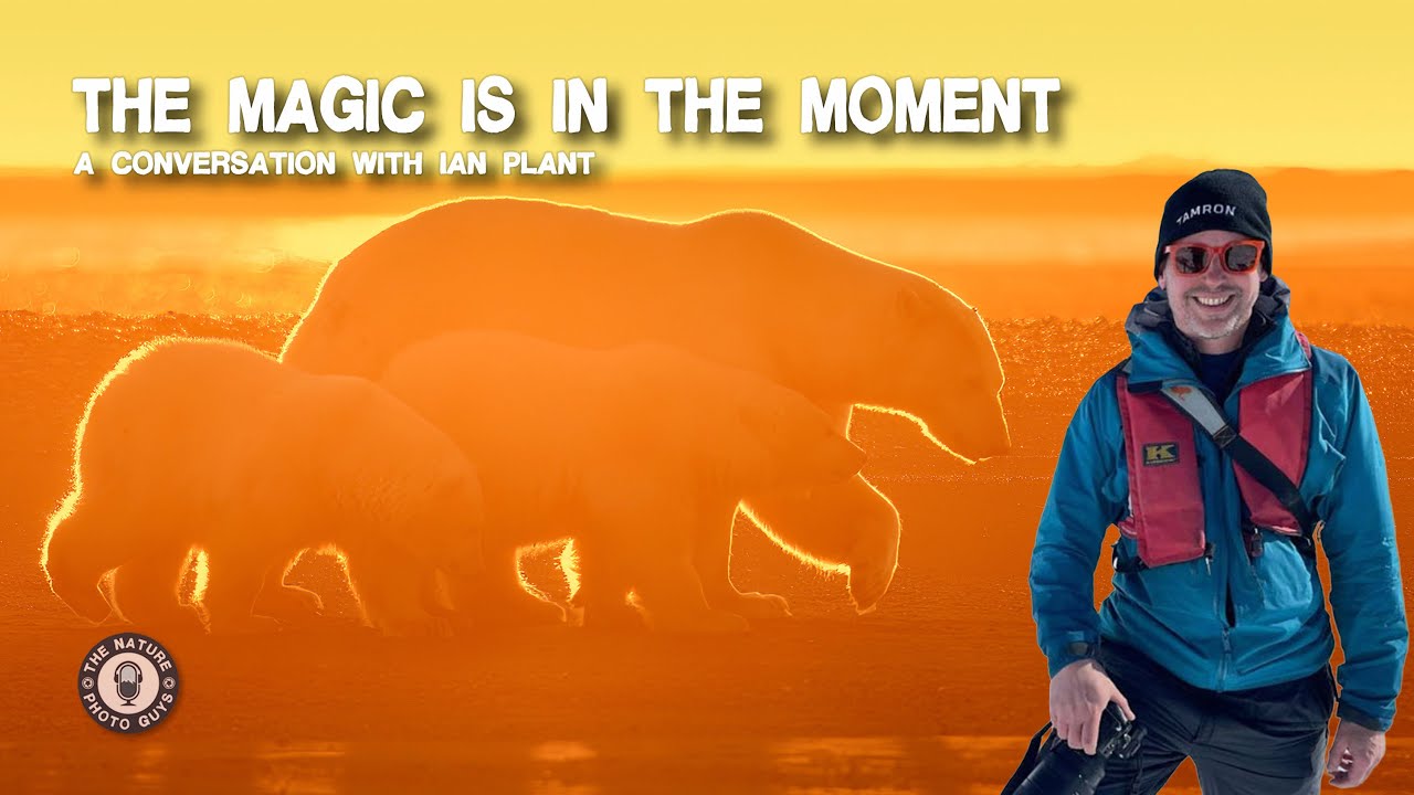 The Magic Is In The Moment – A conversation with Ian Plant