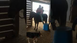 3 Riders On Cherry In A Halter