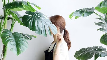 폭스 몬스테라 실내화초 인테리어 화분 쇼핑몰 테라리움 missmone com(Monstera Terarium Artificial tree Flower Interior)
