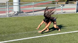 Roll → quadrupedal gallop → roll → quadrupedal gallop