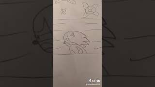 Sonic King of the rings: badniks chase