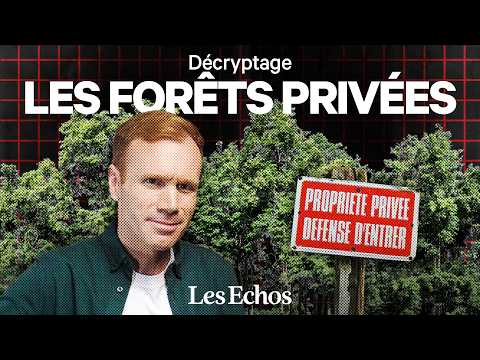 The Little-Known Business of Private Forests