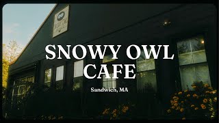 Snowy Owl Cafe, Sandwich, MA #capecod #aerialvideography #dronechck