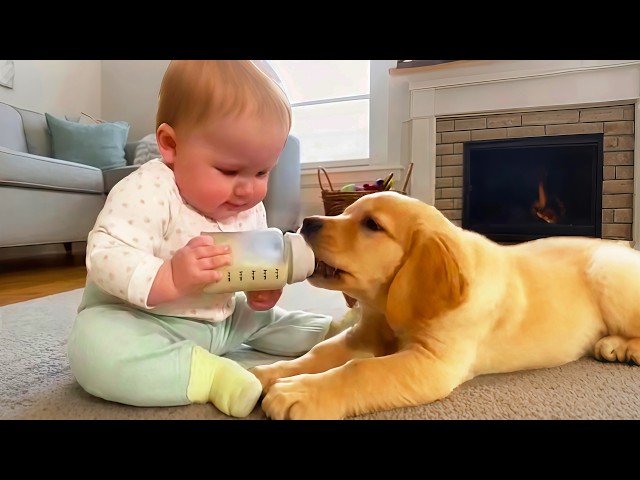 Cute Baby and Dog Moments - Funny Babies Video || COOL PEACHY🍑