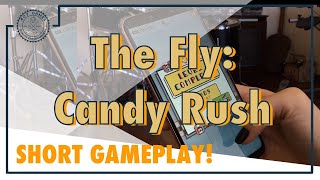 The Fly: Candy Rush (short gameplay) screenshot 1