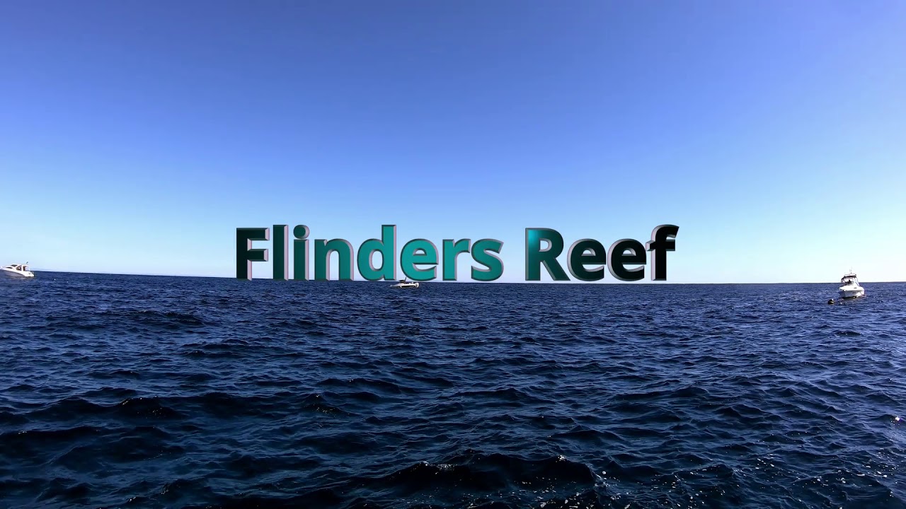 Scuba Dive The Cementco wreck and Flinders Reef  06-05-19