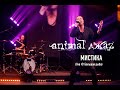 Animal ДжаZ — Мистика (Live @ Мой музыкальный)