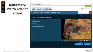 The Anatomy Festival | Use of a traffic light system of pre-work for active learning by R. Door