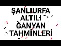 22 ARALIK SALI ADANA ALTILI TAHMİNLERİ GANYAN TAHMİNLERİ-TJK