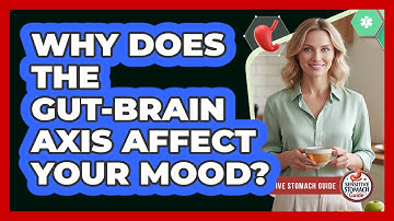 Why Does The Gut-brain Axis Affect Your Mood? - Sensitive Stomach Guide