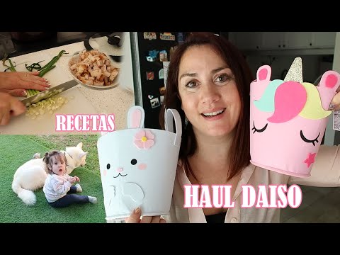 HAUL DE DAISO - RECETA RIQUISIMA PARA DIAS DE CALOR - COMIENZAN LOS EVENTOS DE PRIMAVERA