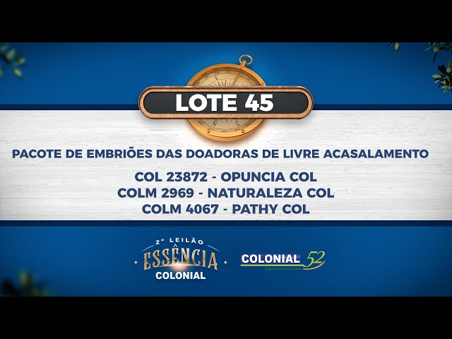 LOTE 45   COL 23872,COLM 2969,4067