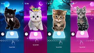 Cute Cats Wednesday Lady Gaga Bloody Mary And Blackpink Lisa Money And Jisoo Flower And Whistle