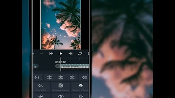 Alight Motion : Exposure + Oscillate + Tiles  Alight Motion For Begginers