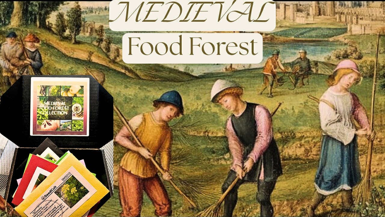 Средневековый пищевой лес? Семена из прошлого, растущие растения из истории. 🌱 🪴