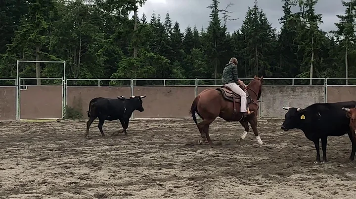 Nicole's first Cutting Horse Lesson