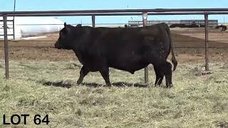 LOT 64